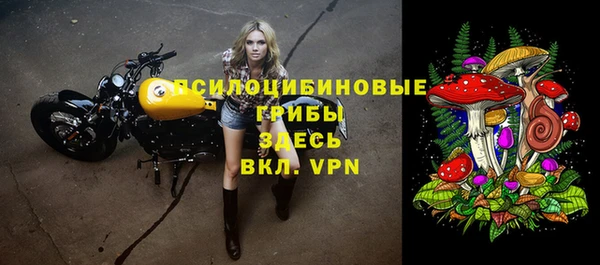 крисы Армянск