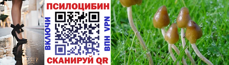 купить наркотик  Устюжна  Галлюциногенные грибы GOLDEN TEACHER 